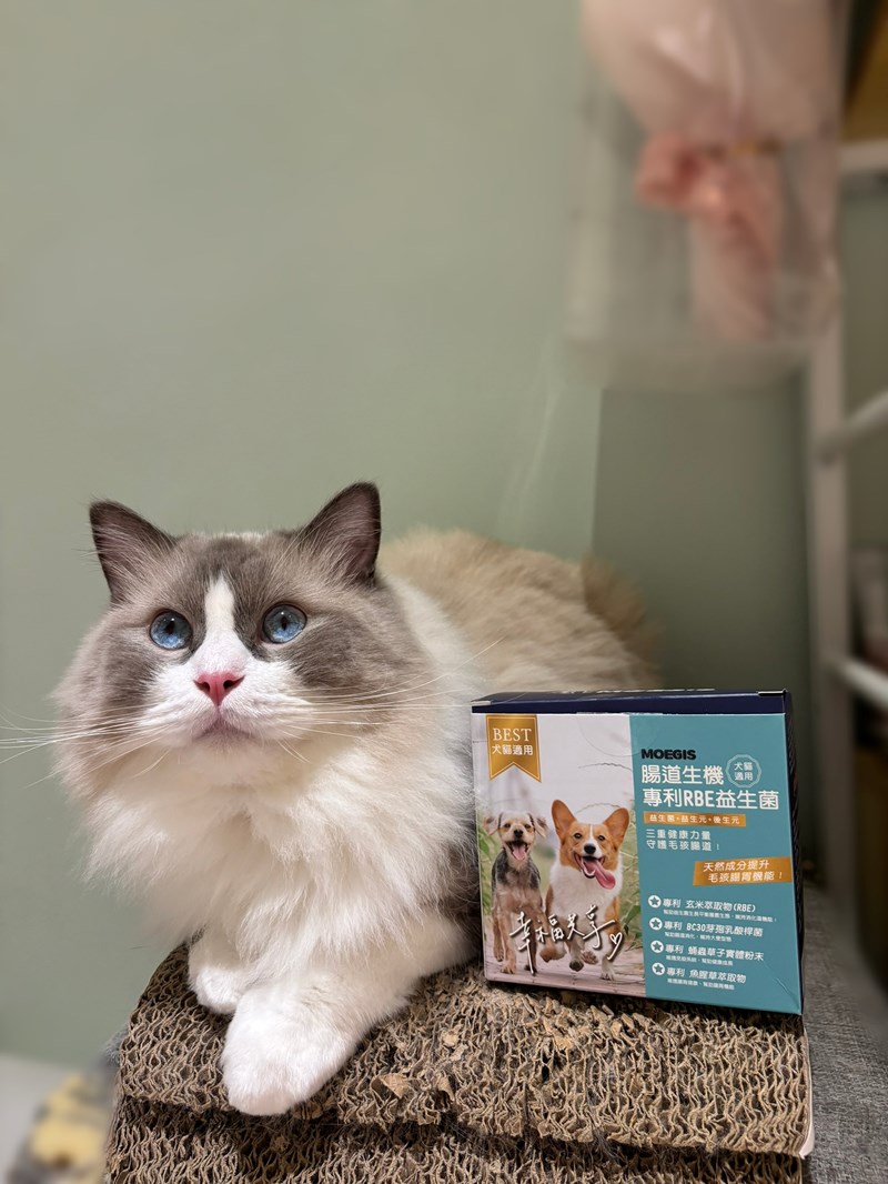 女人知己試用大隊,口碑行銷,部落客行銷,Moegis萌吉 腸道生機專利RBE益生菌,寵物益生菌,專利RBE益生元,專利蔬果酵素,小分子胜肽,藍藻粉,維持免疫力,幫助維持消化道機能,維持正常食慾,改變細菌叢生態,腸胃保健,犬貓適用